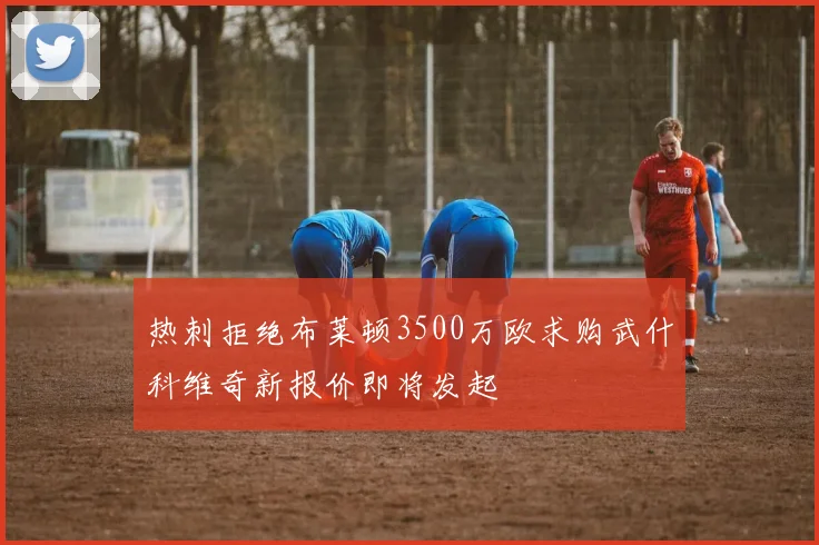 热刺拒绝布莱顿3500万欧求购武什科维奇新报价即将发起